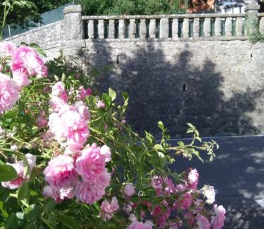 Bivigliano House | CASA BARTOLACCI COZY APARTMENT (NEAR FLORENCE CITY CENTER)