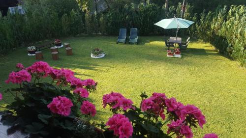 Vadu Motilor Cabin | Casa Bella