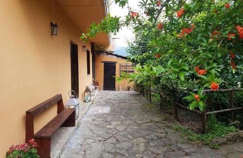 Pedali House | Casa Bellavista