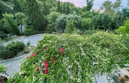 Agii Anargiri Apartment | Casa Bianca Studio Apartment with garden view