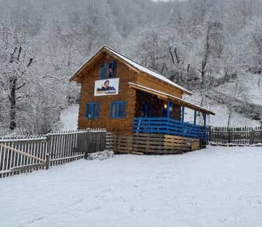 Baile Olanesti Ski Chalet | Casa Brună