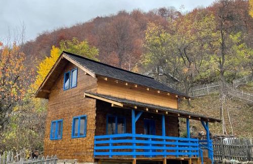 Baile Olanesti Ski Chalet | Casa Brună