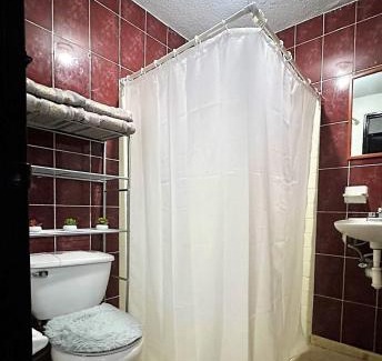 San Luis Potosi House | Casa Céntrica