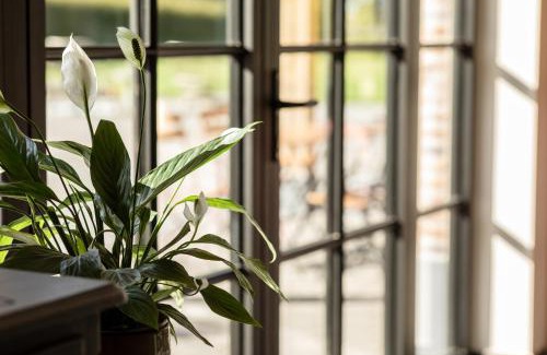 Baasrode Bed & Breakfast | Casa Cava B&B