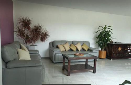 Amozoc House | Casa Chachapa