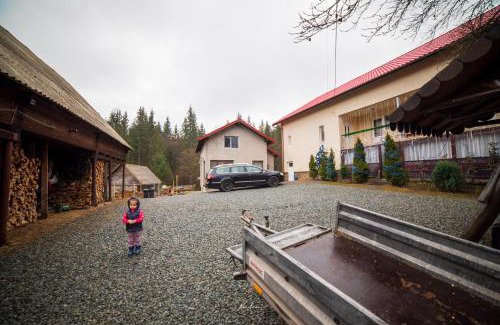 Arieseni Cabin | Casa Cosmina Arieseni