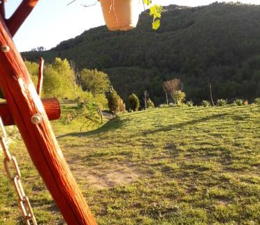 Vidra House | Casa cu Muscate