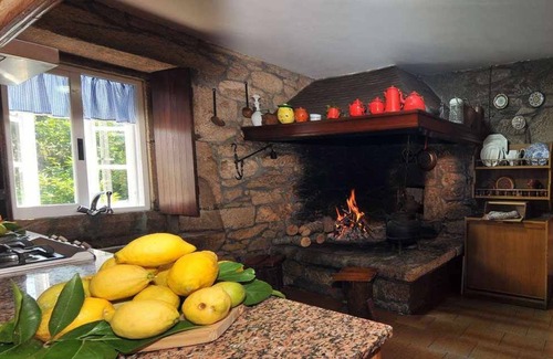 Brion House | Casa Cunha - Brión