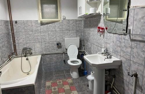 Vidra House | Casa Danut