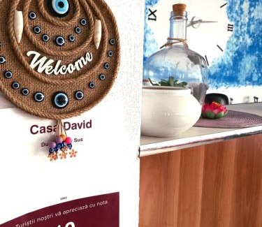 Murighiol House | Casa David