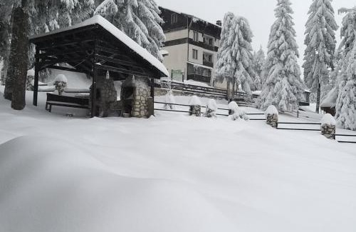 Vartop Cabin | Casa de Vacanţă Vârtop
