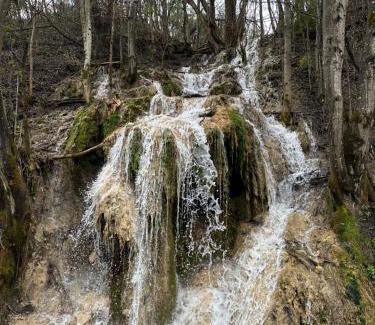 Vidra Other | Casa de vacanța Ovy