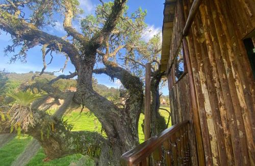Sesquile House | Casa del árbol Amadeus Guatavita