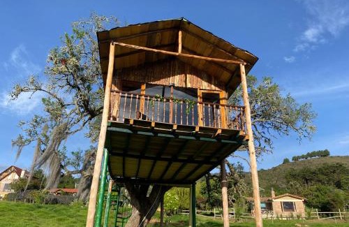 Sesquile House | Casa del árbol Amadeus Guatavita