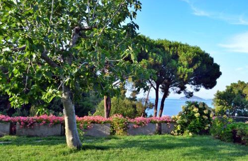 Bagno-Sprizze Apartment | Casa del Mare - Oasi verde a soli 100m dal mare!