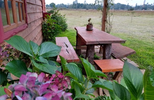 Araucania Region Cabin | Casa del rio