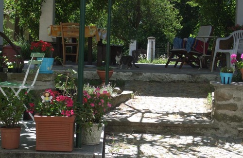 Mioglia Apartment | Casa di Alfredo Apartment - CITR9039