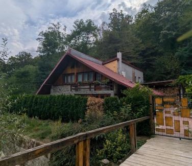 Orsova House | Casa din padure