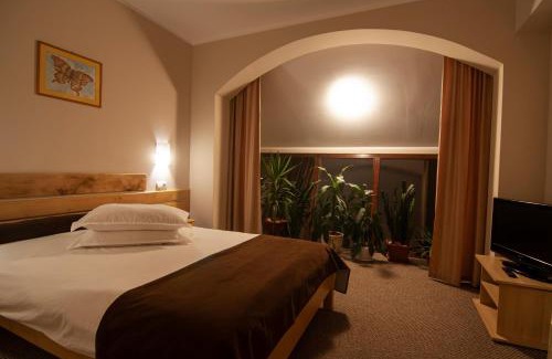 Covasna House | Casa din Parc