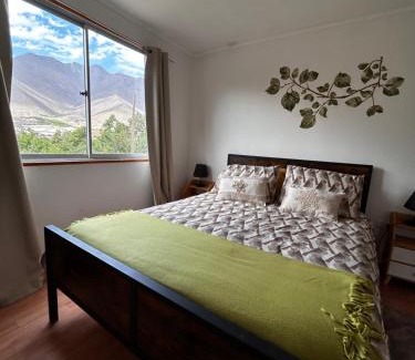 Vicuna House | Casa Doris