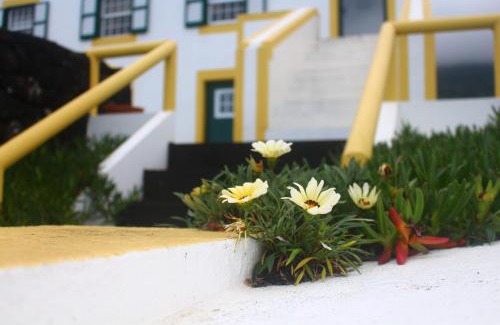 Santo Amaro House | Casa dos Felicias
