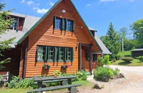 Rimetea Villa | Casa Edelweiss - Gyopár - Flore de colt