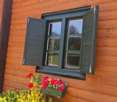 Rimetea Villa | Casa Edelweiss - Gyopár - Flore de colt