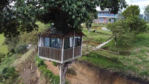 Titiribi Other | Casa en el árbol en Titiribi