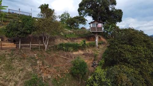 Titiribi Other | Casa en el árbol en Titiribi