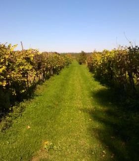 Rivarotta Bed & Breakfast | Casa Filaferro