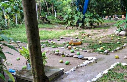 Ibague House | Casa finca vacacional con piscina disponible para eventos fiestas y pasa dias