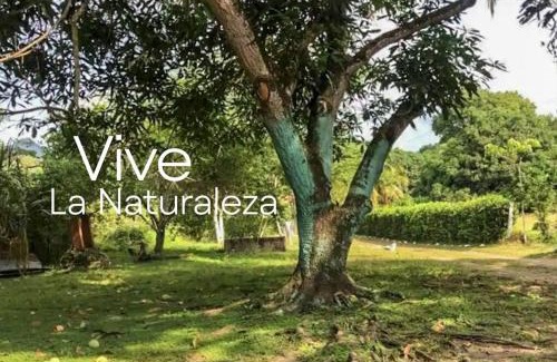 Ibague House | Casa finca vacacional con piscina disponible para eventos fiestas y pasa dias