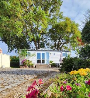 Carvalhal House | Casa Floravista