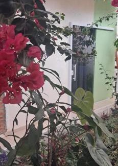 Holambra House | Casa Gerânio
