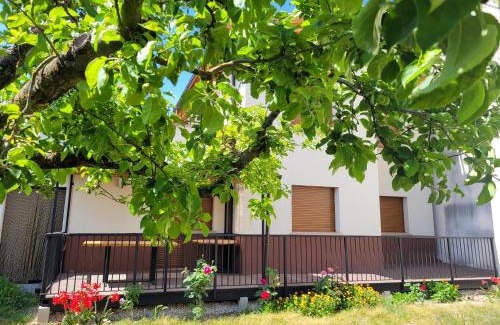 Riezu House | Casa Julio, bonita casa cómoda y espaciosa, totalmente reformada con terraza y jardin privado