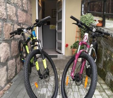Baile Tusnad Bed & Breakfast | Casa Karola Ház