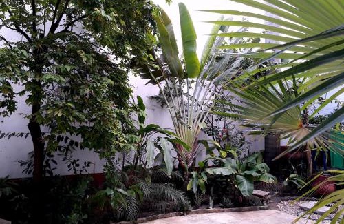 Sao Luis Historical Center House | Casa Lavinia