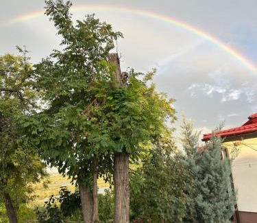 Tulcea House | Casa Lui Neica