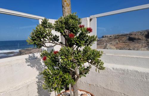 O Rosal House | CASA MAR DA LAXE