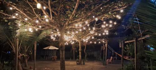 Puerto Barrios House | Casa Maya