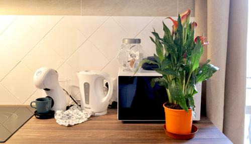 Quartieri Spagnoli Apartment | Casa Mia ai Quartieri Spagnoli 2