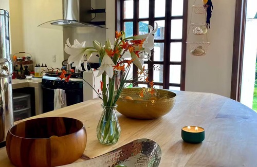 San Martin House | Casa Cosecha: Gorgeous brick house with a garden in serene neighborhood