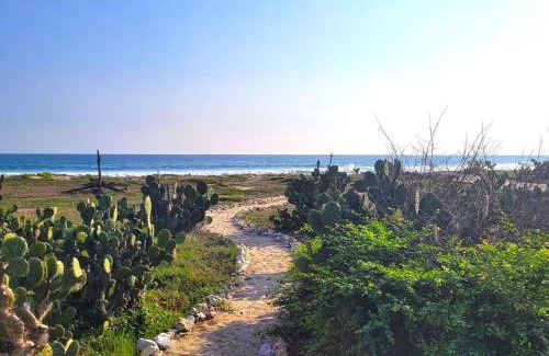 Barra de Colotepec Villa | Casa Olivacea - Beachfront Villa