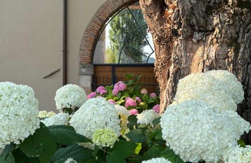 Montecchia di Crosara House | Casa Perazzolo