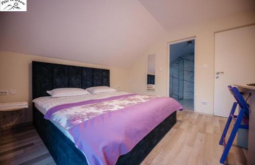Saru Dornei House | Casa Plai cu Soare