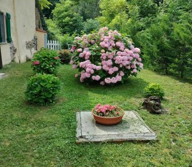 San Sebastiano da Po Apartment | Casa relax immersa nel verde della natura