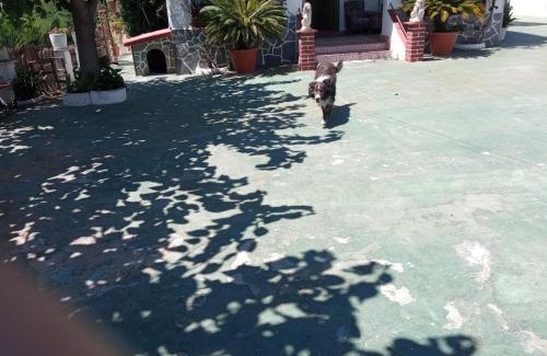 Ardenya House | Casa Rural Cal Josefina & Tomas
