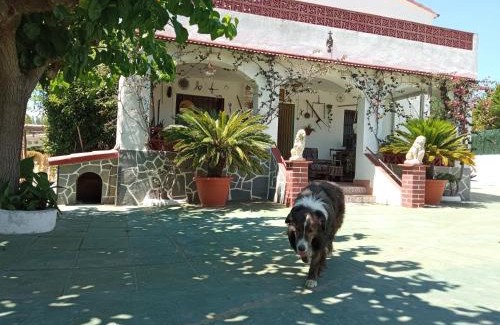 Ardenya House | Casa Rural Cal Josefina & Tomas