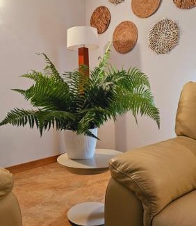 Oiartzun Villa | Casa Rural Simonan Borda