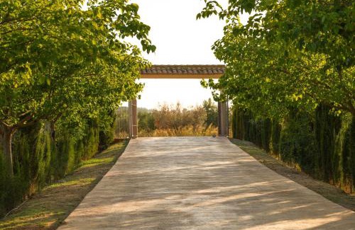Almansa House | Casa Saladarejo de los Olivos